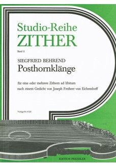 Studio-Reihe Zither 11